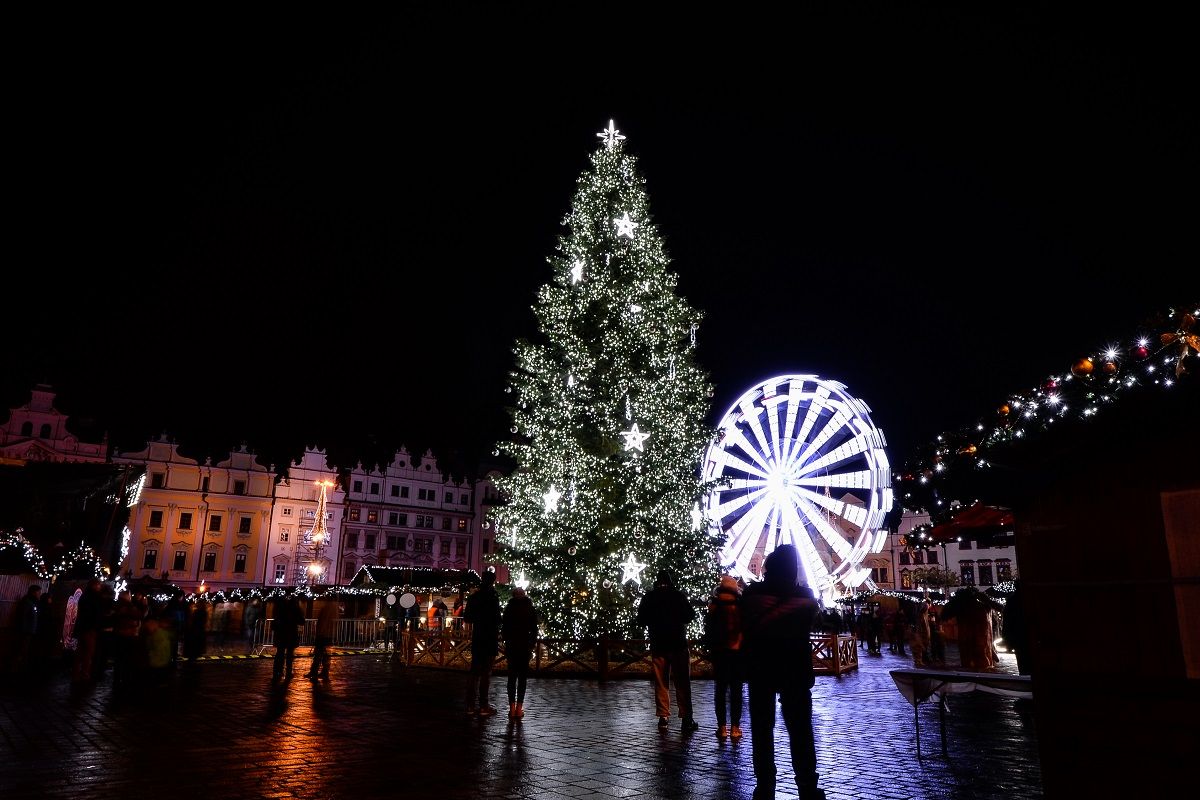 obrázek: Plzeň hledá vánoční strom. Pomůže s odstraněním, zajistí dopravu