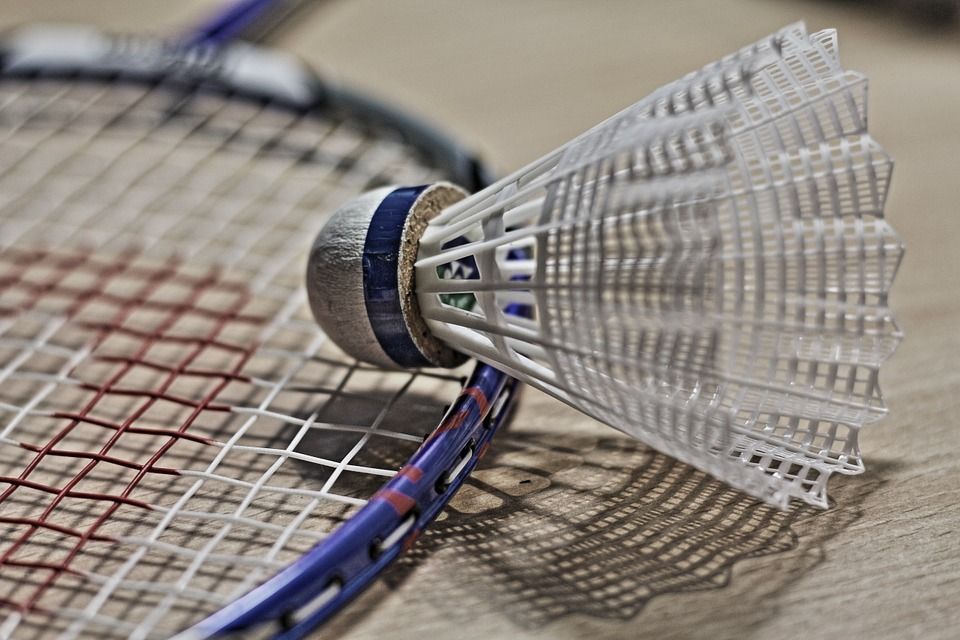 obrázek: Plzeň podpoří sportovní organizace i hendikepované sportovce