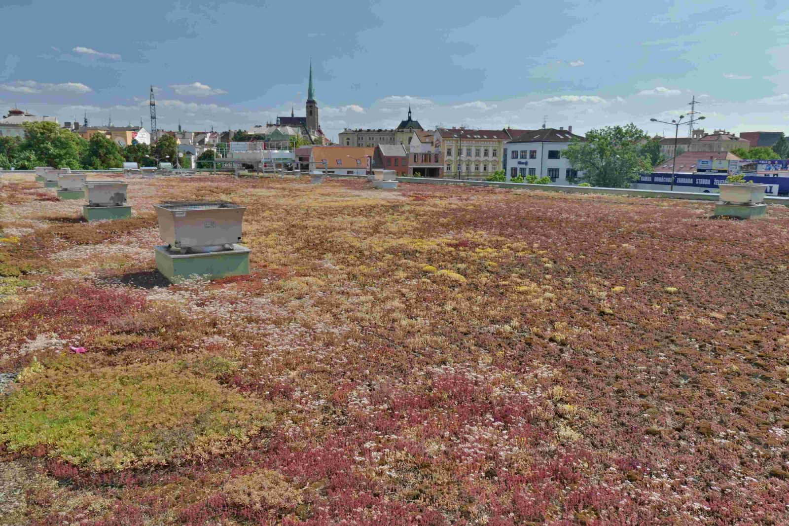 obrázek: Plzeň zelená a modrá: Cyklus zahájí díl o změně klimatu