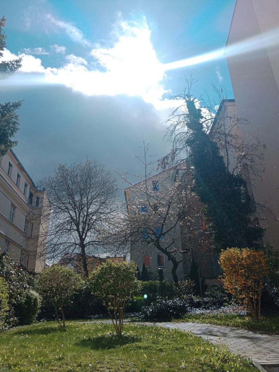 obrázek: Plzeňské dvorky 2024 se v sobotu otevírají podeváté