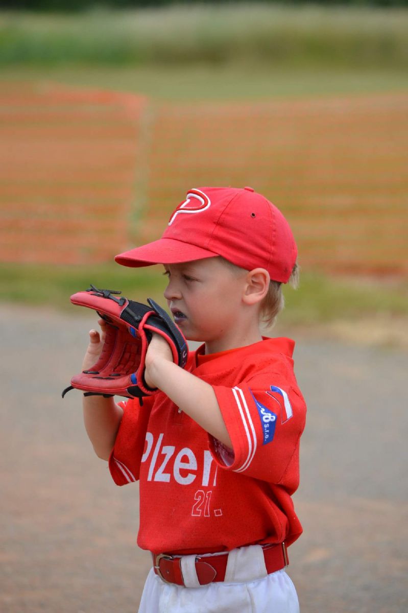 obrázek: Plzeňský klub vychovává baseballový potěr