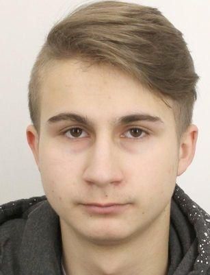Policie pátrá po mladíkovi z Plzně