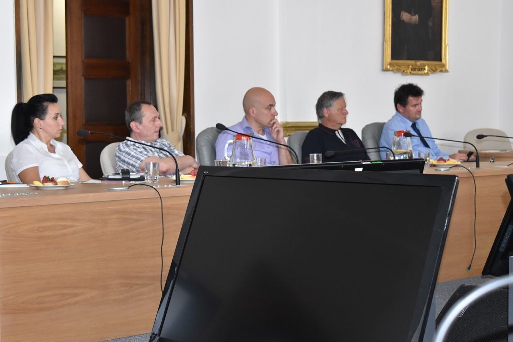 obrázek: Primátor Plzně přijal zástupce obchodních center, řešil s nimi téma cizinci 