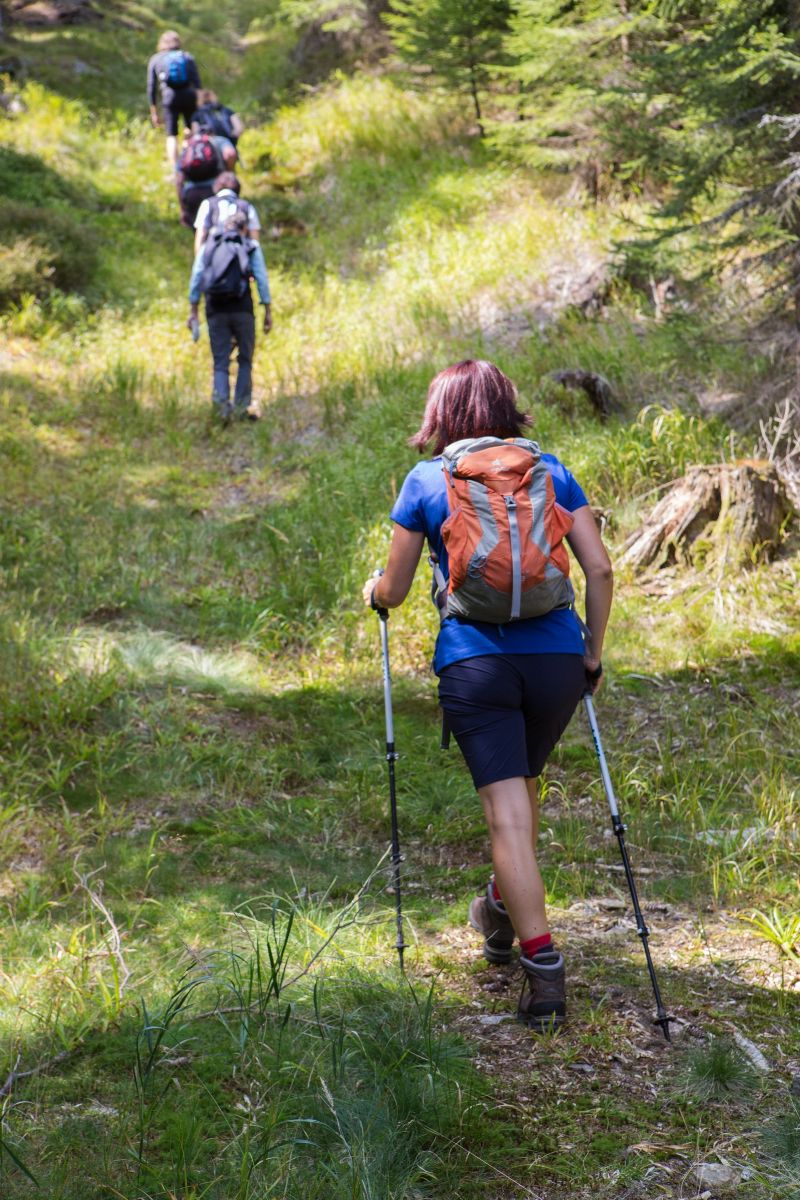 obrázek: Průvodci šumavskou divočinou ještě nabízejí volná místa