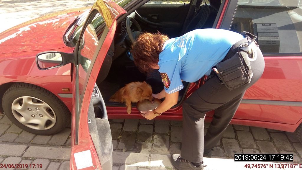 obrázek: Psa nechala v rozpáleném autě na parkovišti