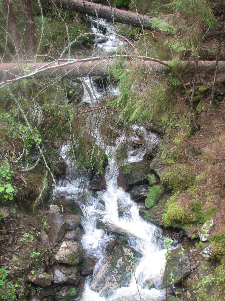 Rada NP se nedohodla na podobě nových Zásad péče o Národní park Šumava 