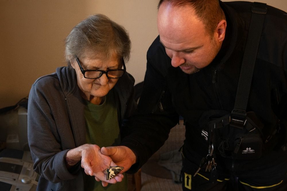 Seniorka našla na Borech barevného motýla. Nevěřila, že nežije