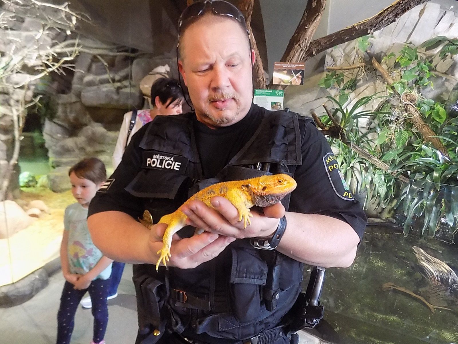 Strážníci v Plzni odchytávali o víkendu exotická zvířata
