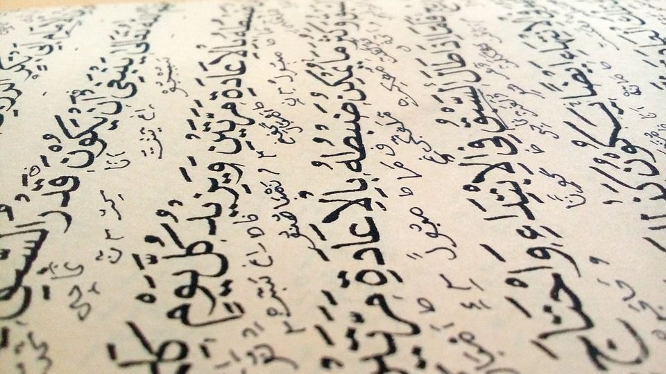 Studenti Západočeské univerzity se budou učit arabštinu v Súdánu