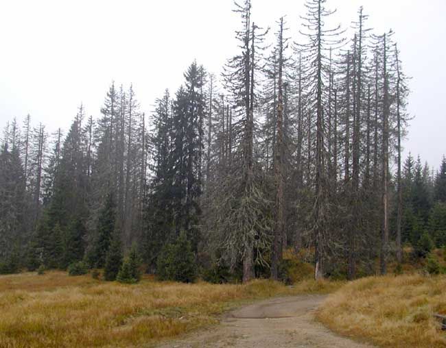 obrázek: Šumava chce turistům nabídnout nové cíle