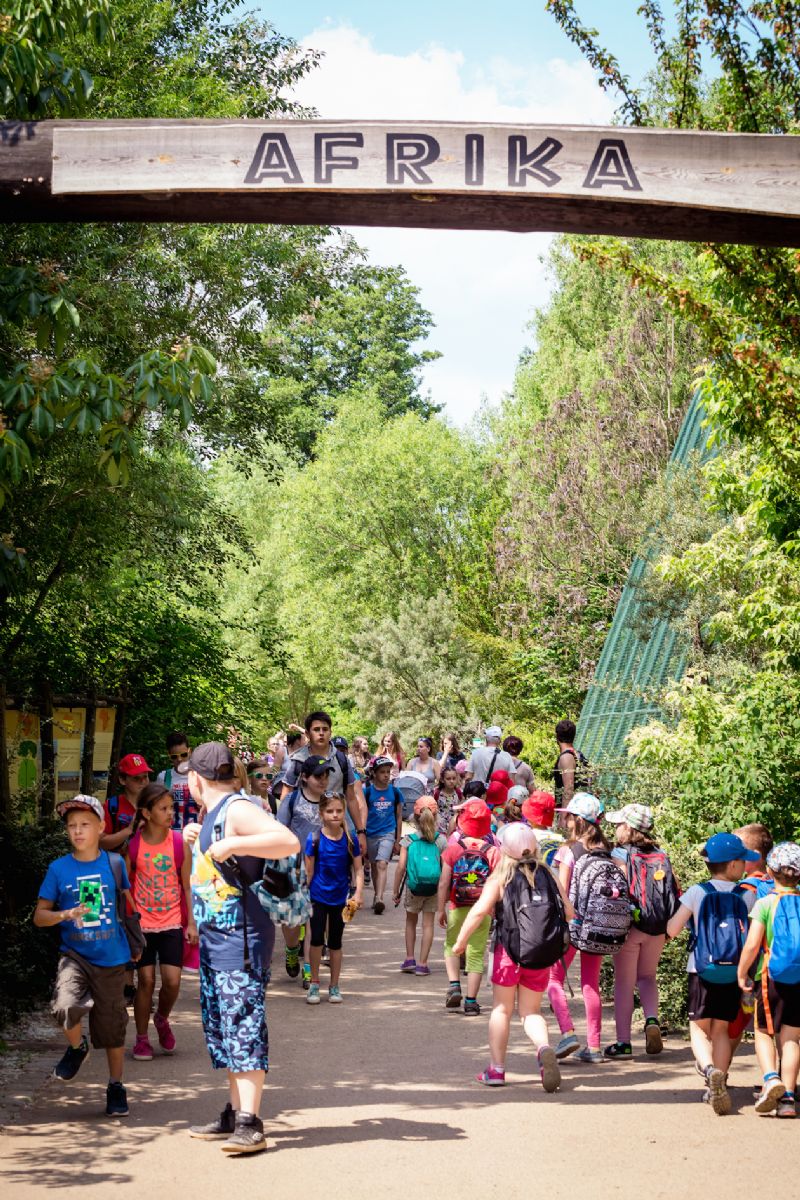 obrázek: Téměř stoletá ZOO Plzeň je modernější díky ROP Jihozápad