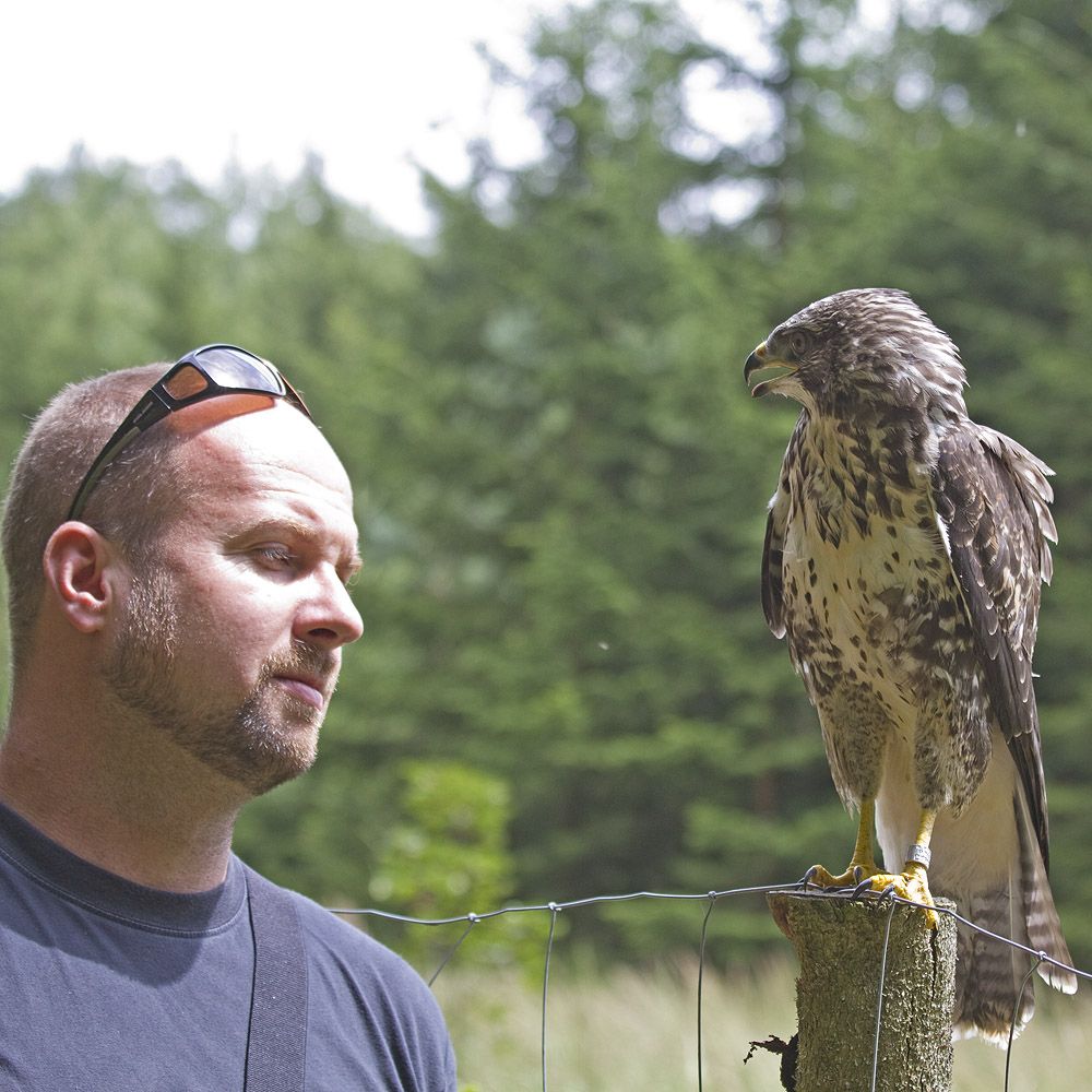 obrázek: Týden zvířecích záchranářů: Okřídlený fantom sejmul dalšího běžce