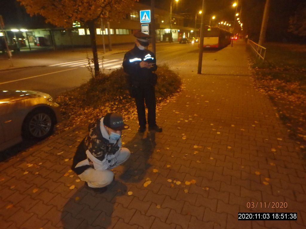 V plzeňském útulku skončili dva zaběhnutí psi a kotě - ZPRÁVY - Plzeň - REGIONPLZEN.CZ