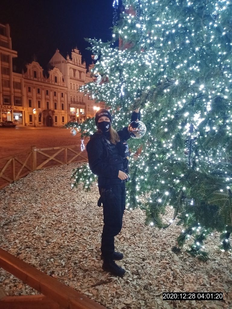 obrázek: Vánoční strom v Plzni měl málem kvůli sázce o ozdobu méně 