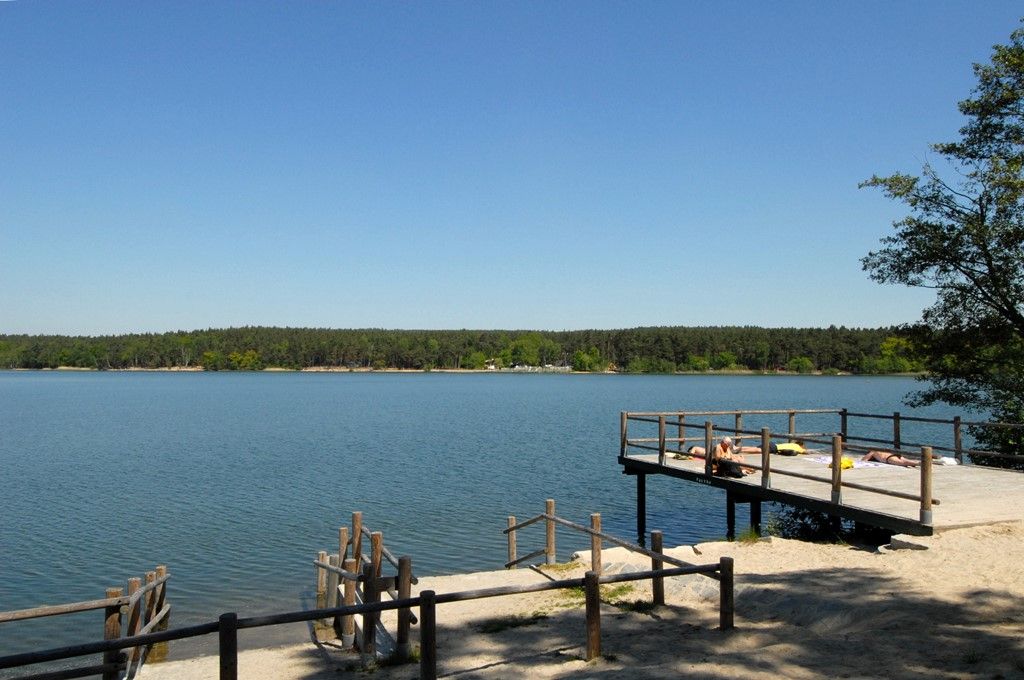 obrázek: Voda v rybnících bolevecké soustavy splňuje nároky na koupání, je jí však méně