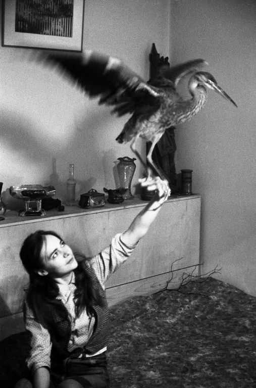 Jan Ságl, Věra s volavkou, 1969