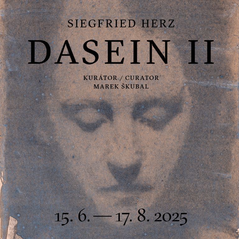 Siegfrieg Herz / Dasein II.