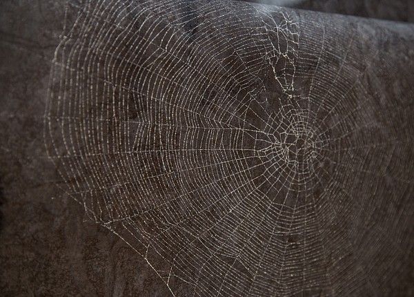 Sobotní odpoledne na výstavě Z LESA DO LESA