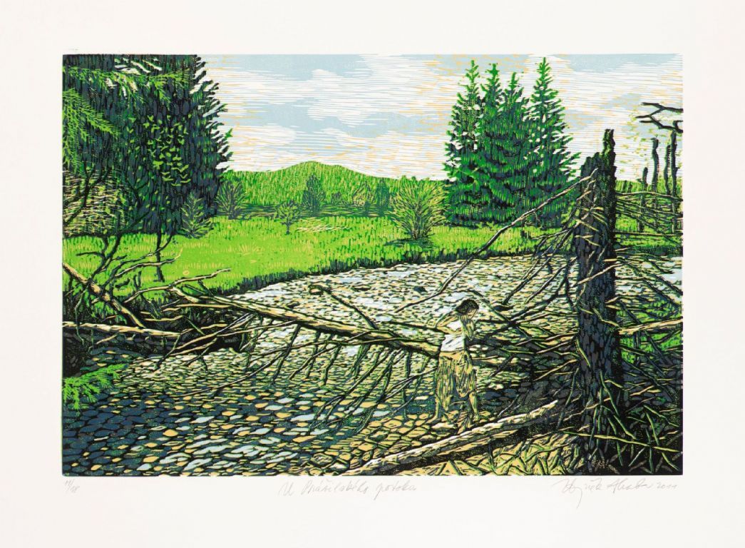 Zbyněk Hraba, U Prášilského potoka, 2011