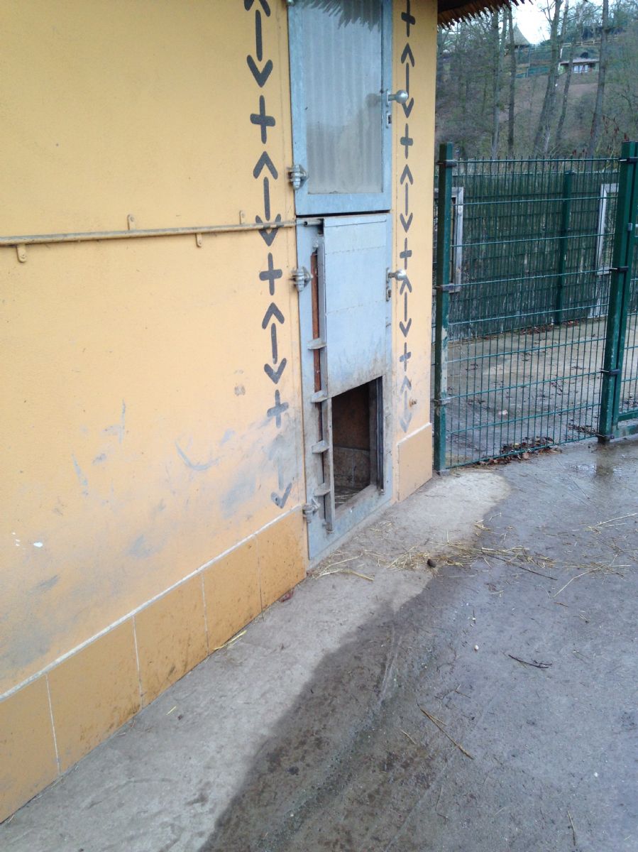 Renovace a přepažení výběhu pro levharty v ZOO Plzeň