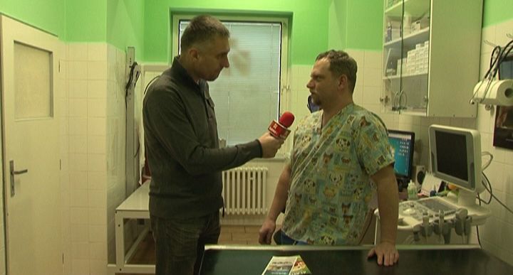 PLZEŇSKÁ 1: Za ušima 8.