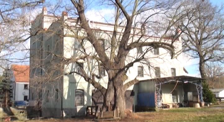 PLZEŇSKÁ 1: Památným stromem v Koterově je 260 let stará lípa