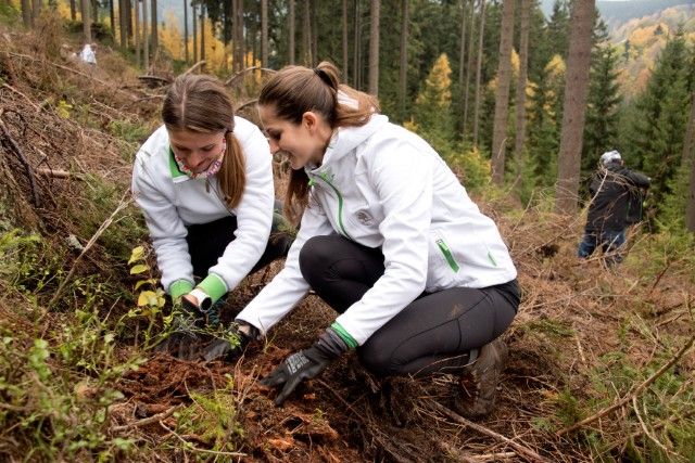 V rámci projektu ŠKODA Stromky je za každý prodaný vůz ŠKODA na území České republiky zasazen jeden strom
