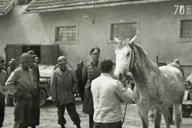 obrázek: Američané dovezli kapitulaci veliteli milionové německé armády