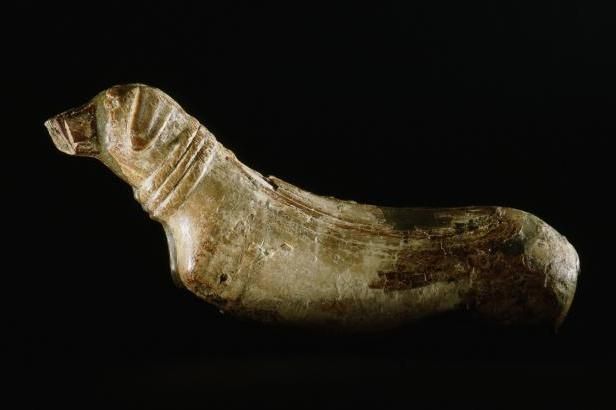 obrázek: Archeologové našli katakomby s mumiemi psů