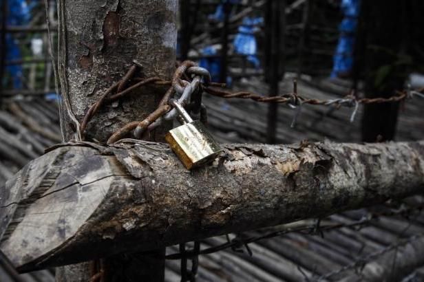 obrázek: Barmský trest za ilegální těžbu dřeva: 153 doživotních rozsudků