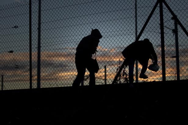 obrázek: Běženci jsou troufalejší. Do návěsu se snaží i prořezat, popisuje český řidič z Calais