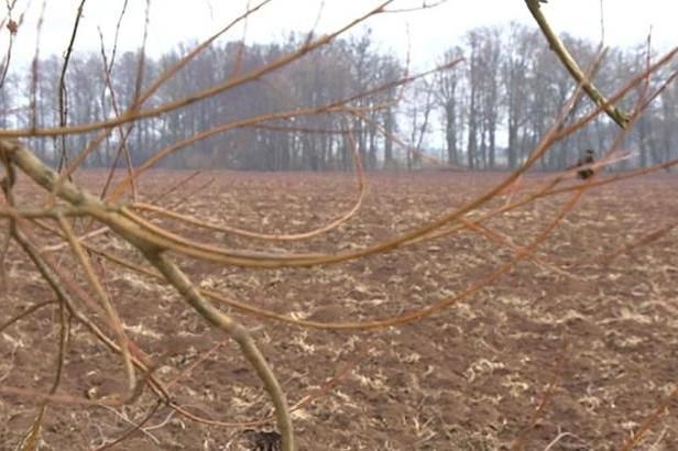 obrázek: Boromejky nečekaně uspěly s restitucí pozemků pod plánovanou silnicí