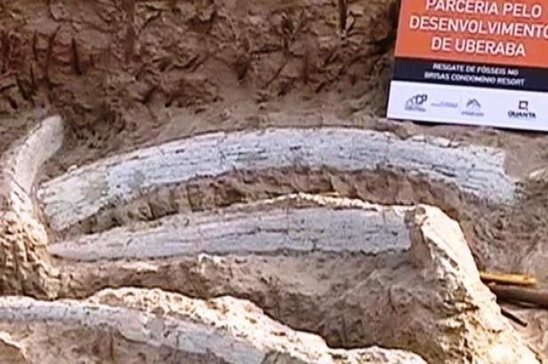 Brazilští dělníci našli kosti neznámého dinosaura