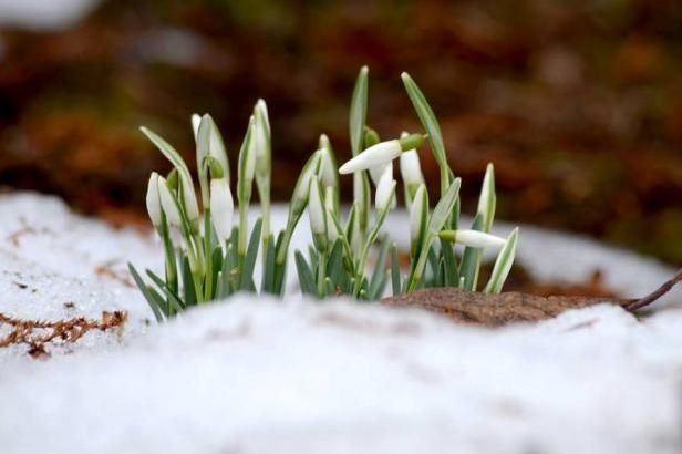 obrázek: Březen slibuje víc jak deset stupňů a rána na nule
