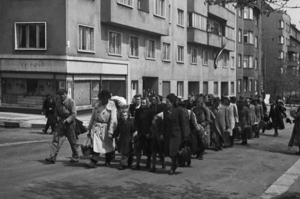 obrázek: Brno lituje divokého odsunu. První by se ale měli omluvit Němci, míní Hašek