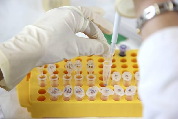 obrázek: Čeští vědci čekají, jak je oznámkují zahraniční kolegové