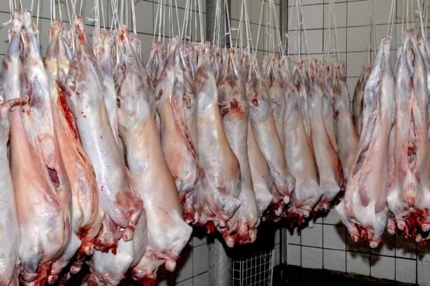 obrázek: E15: Babišovo Animalco vyhrálo tendr na dodávku masa správě rezerv