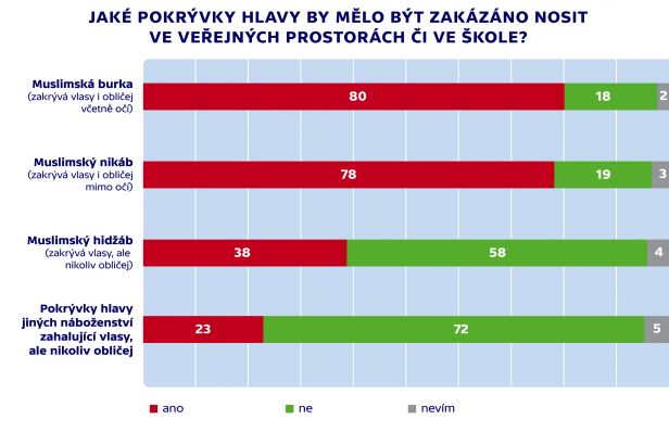 obrázek: Hidžáb ve škole? Nám to nevadí, tvrdí většina Čechů