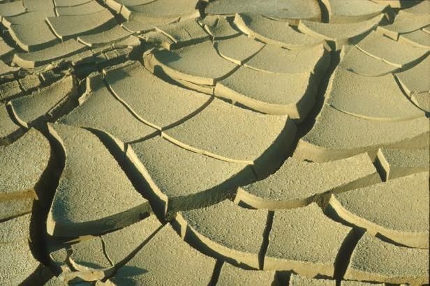 obrázek: Horký rok 2014: Loni bylo nejtepleji za posledních 135 let