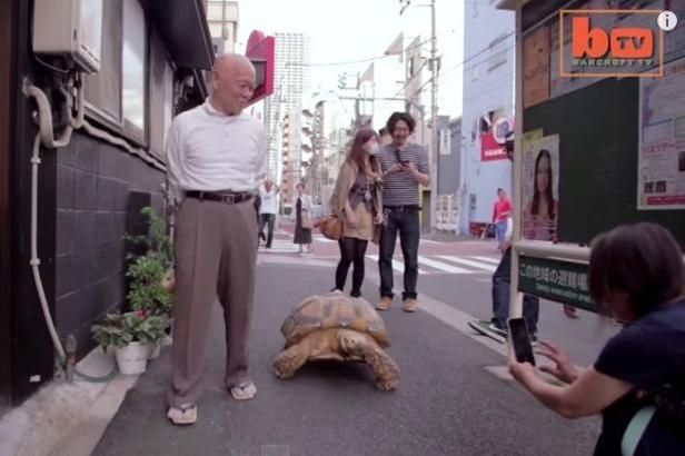 Japonec a jeho mazlíček s krunýřem se stali hvězdami internetu