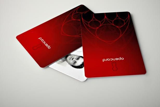 obrázek: Kauza Opencard: GIBS prověřuje vyšetřující policisty i žalobkyni