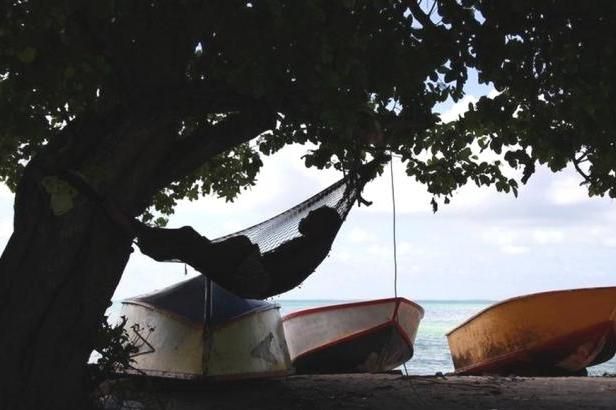 obrázek: Klimatický azylant u soudu neuspěl, čeká ho vyhoštění