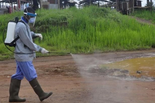 obrázek: Konečně, hlásí vědci: Máme stoprocentně účinnou vakcínu proti ebole