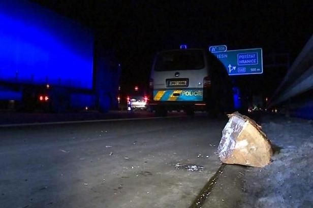 obrázek: Muž, který házel polena na dálnici, musí do ústavní léčby