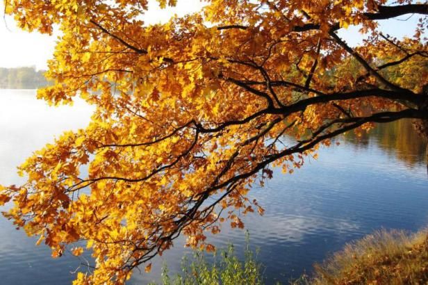 obrázek: Na podzimní prázdniny meteorologové slibují příjemné teplo bez deště