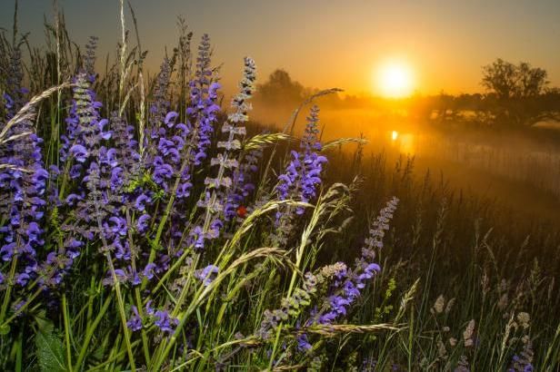 obrázek: Noc byla rekordně chladná, déšť potěšil vodáky