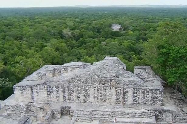 obrázek: Patnáctiletý chlapec možná objevil mayské město, nebo také jen pole