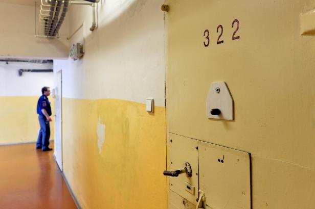 obrázek: Podezřelého z útoku na Stropnického dům propustili z vazby