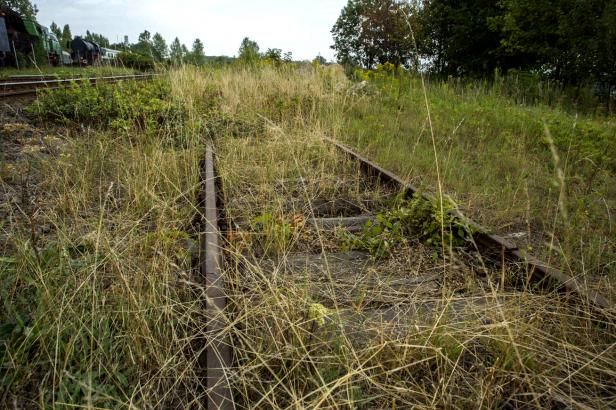 obrázek: Polská legenda realitou? Tajemný vlak s nacistickým pokladem zřejmě existuje