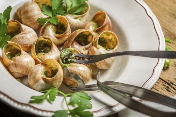 Polští šneci dobývají Evropu i domácí restaurace